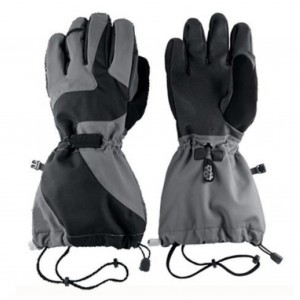 Ski Gloves